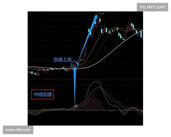 Flagstar、Brighthouse 股价上涨，加密货币股票下滑：每周金融摘要